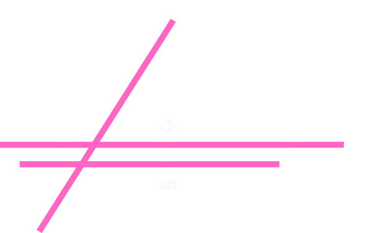 Selcorp Constructions logo